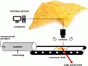 Seasoning Control for Snack Foods